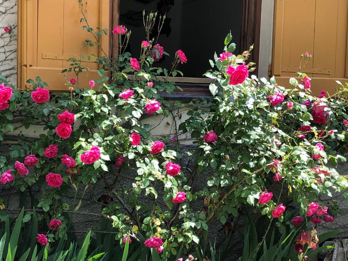 A O Soa B&B 萨维尼奥内 外观 照片