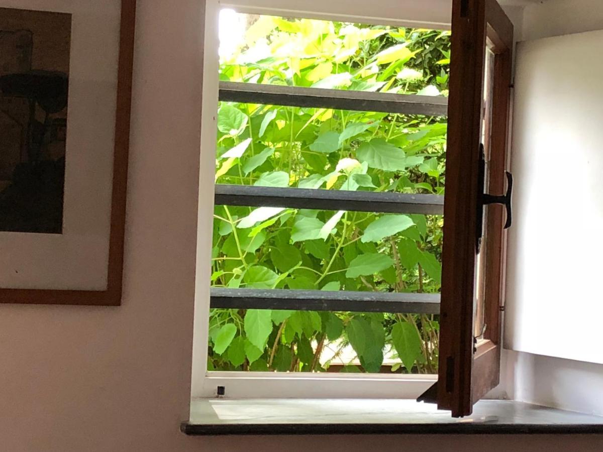 A O Soa B&B 萨维尼奥内 外观 照片